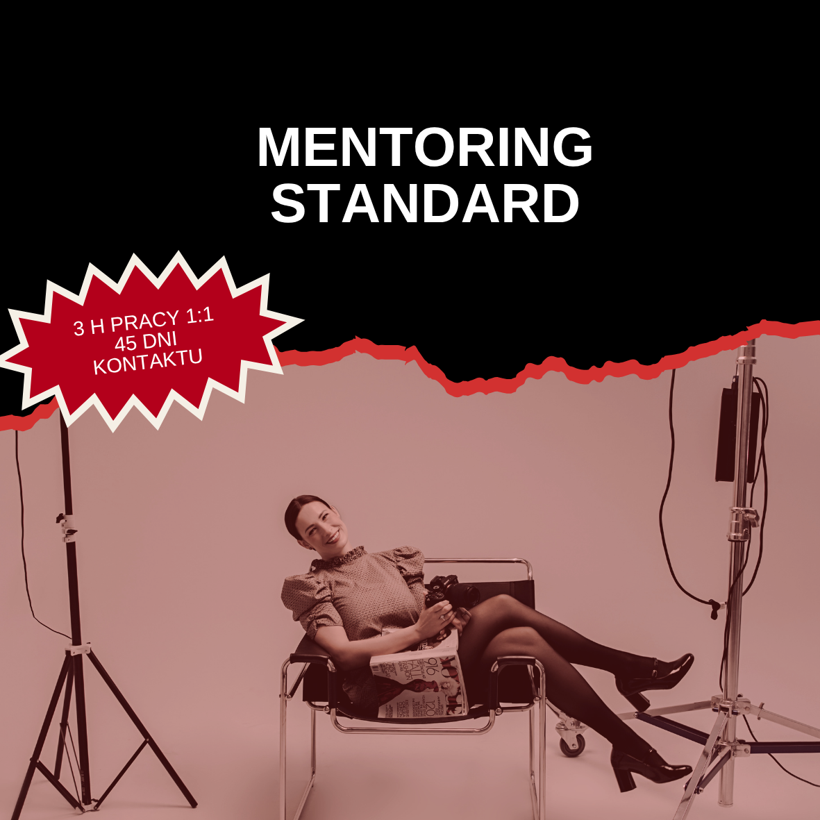 Okładka produktu Mentoring Standard – 3h pracy 1:1, 45 dni kontaktu, agencja social media EGO